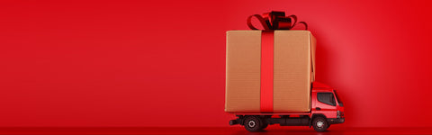 Spedizioni gratis su tutti gli ordini! ✨