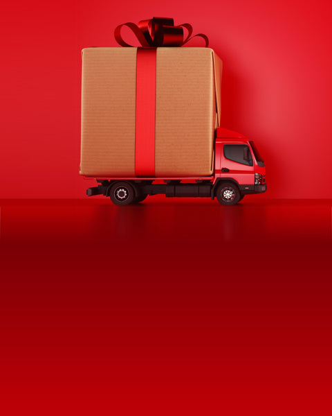 Spedizioni gratis su tutti gli ordini! ✨