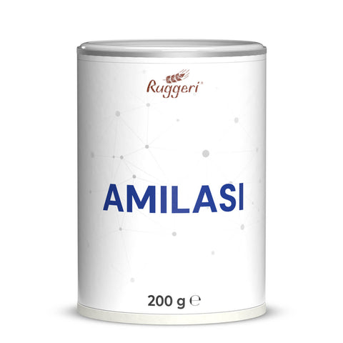 Enzima Amilasi