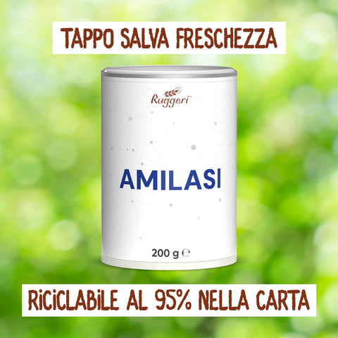 Enzima Amilasi