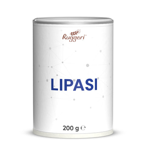 Enzima Lipasi